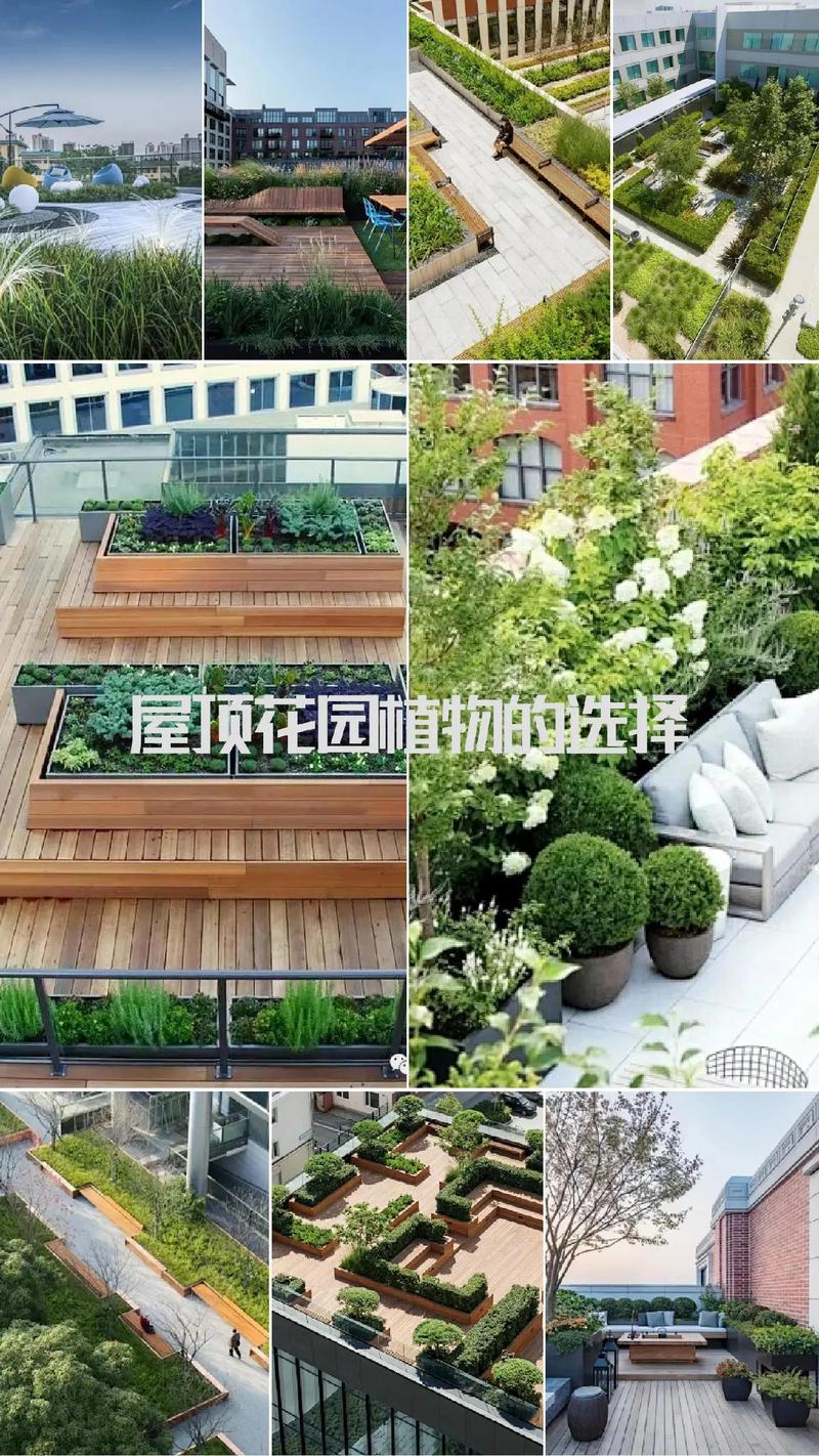别墅庭院的景观设计趋势